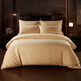 【桑忆真丝专区】天丝金丝银线夏被/金玉良缘蚕丝被基地直邮