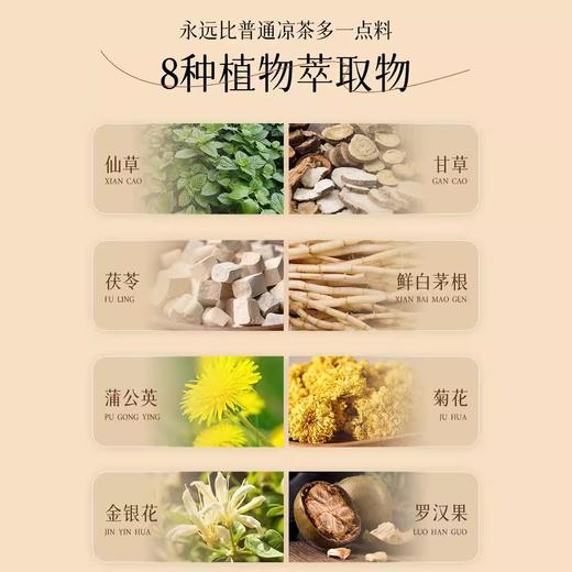 伦教龙田牌龟苓水 不是喝过的那种凉茶 商品图3