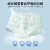 贝贝怡2025年男童内裤（4件装）ZB5EP003 商品缩略图6