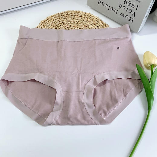 🔥【芬腾•纯棉聚乳酸高腰内裤礼盒装19227】👍裤如其名，上身超软超贴身！！附检测报告👏！ 高腰版型，95%纯棉✨包容各种身材 商品图5