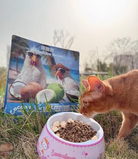 原始兽椰子鸡1.5kg开袋视频