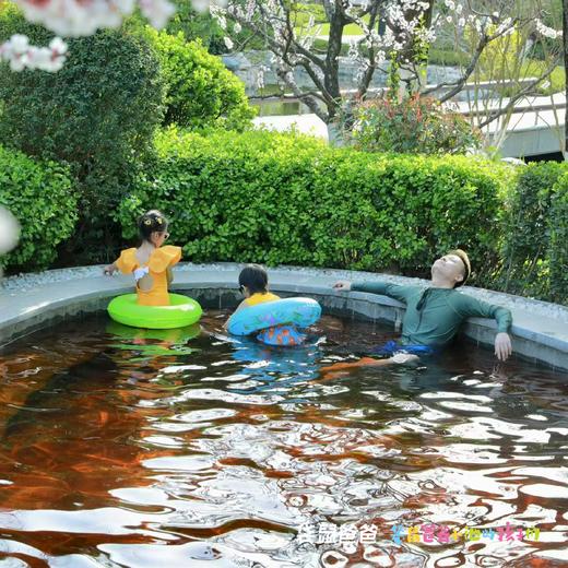【袋鼠爸爸去哪儿丨西安地建南山温泉酒店秦岭野生动物园店】位于秦岭山脚下，距离沣峪口10分钟，2024年重装开业，占地约百亩，酒店内设有国标级50米恒温游泳馆和24个户外温泉，一站式遛娃 商品图8