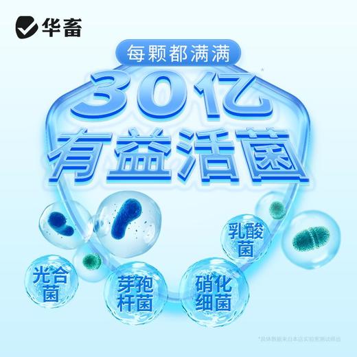 华畜分解底改水产养殖鱼虾蟹塘用调水净水王粪肠球菌生物改底颗粒 商品图9