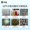 华畜分解底改水产养殖鱼虾蟹塘用调水净水王粪肠球菌生物改底颗粒 商品缩略图4
