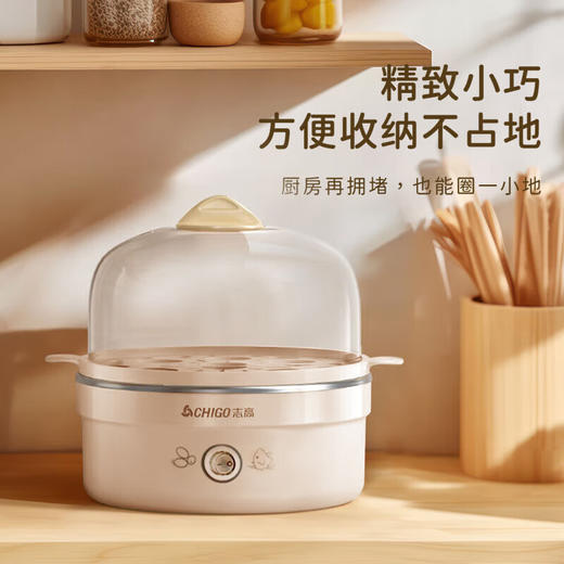 志高煮蛋器_ZDQ208单层 商品图3
