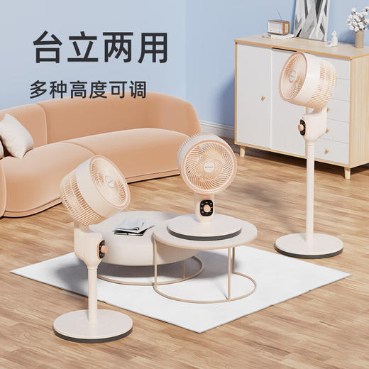 志高循环扇_LS23-C3-1 商品图7