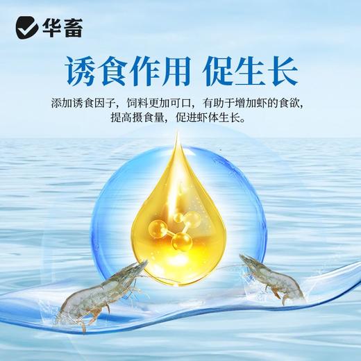 华畜虾大个水产养殖龙虾南美白对虾青沼虾生长催长素增采食虾大壮 商品图4