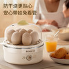 志高煮蛋器_ZDQ208单层 商品缩略图2