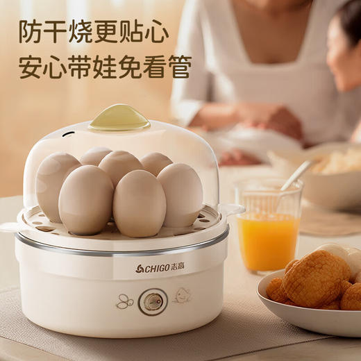志高煮蛋器_ZDQ208单层 商品图2
