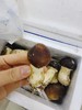 松茸2斤 商品缩略图2
