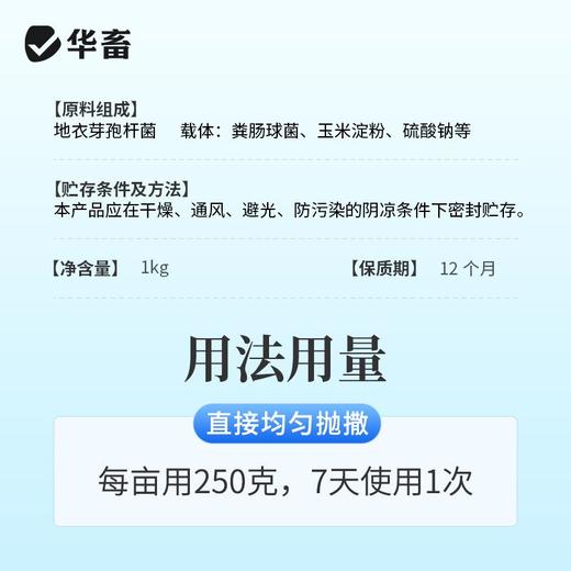 华畜分解底改水产养殖鱼虾蟹塘用调水净水王粪肠球菌生物改底颗粒 商品图5