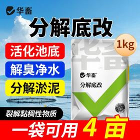 华畜分解底改水产养殖鱼虾蟹塘用调水净水王粪肠球菌生物改底颗粒