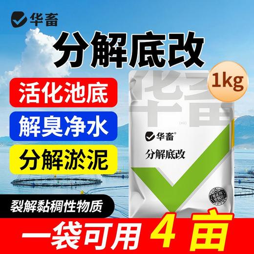 华畜分解底改水产养殖鱼虾蟹塘用调水净水王粪肠球菌生物改底颗粒 商品图0