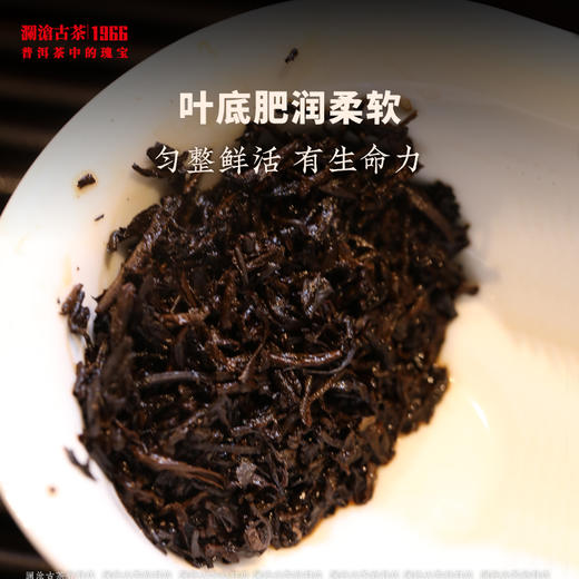 【臻品】澜沧古茶2015年宫廷丹珠熟茶普洱茶古树茶叶手工龙珠散称重 商品图4