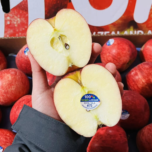 新西兰加力果 脆甜  苹果礼盒  多规格可选 商品图7
