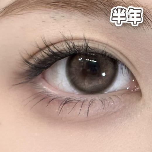 #Bear Brown 姜饼小熊 棕 14.5mm【1片装】舒适推荐 / 半年抛 商品图1