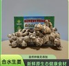生姜2kg 商品缩略图0