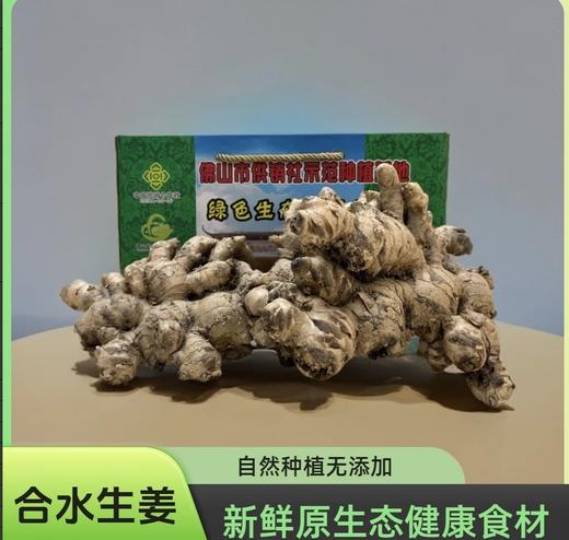 生姜2kg 商品图0