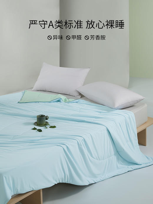 佳丽斯空调被夏被2025新款夏季被子被芯a类可机洗夏凉被凉感冰丝 商品图6