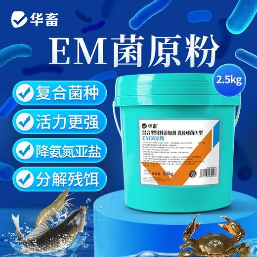 华畜em菌原粉水产专用养殖虾蟹鱼塘活菌发酵调水净水肥水浓缩EM菌 商品图0