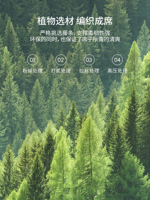 佳丽斯藤席凉席三件套双人家用可折叠单人软席子 商品图2