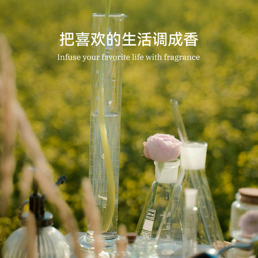 节日礼盒 | 潮汐与风套装室内扩香持久创意家居小众卧室香氛生日礼品 商品图4