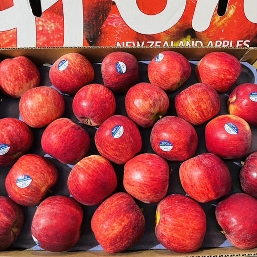 新西兰加力果 脆甜  苹果礼盒  多规格可选 商品图5