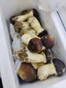 松茸2斤 商品缩略图0