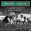 【2026年新茶上市】卢正浩明前浩字礼盒精品西湖龙井茶礼盒装250g正宗茶叶绿茶浩字 商品缩略图4