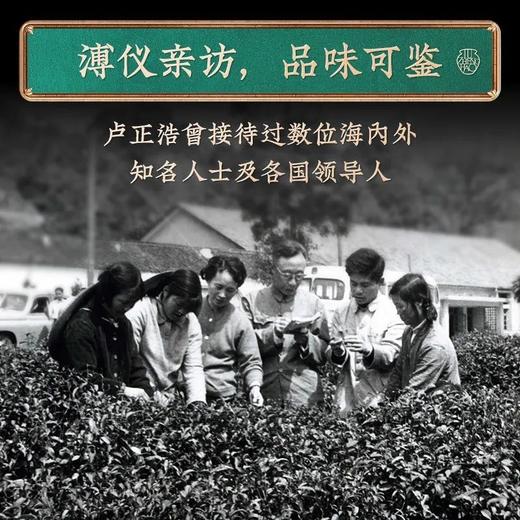 【2026年新茶上市】卢正浩明前浩字礼盒精品西湖龙井茶礼盒装250g正宗茶叶绿茶浩字 商品图4