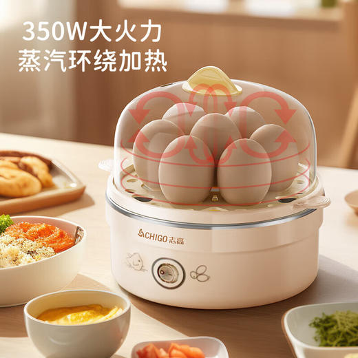 志高煮蛋器_ZDQ208单层 商品图0