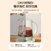 志高1.8L养生壶_浅绿色DC-3B07 商品缩略图1