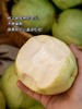 冰淇淋奶油芭乐 低糖低卡路里  2件（净重2.5斤左右/件） 商品缩略图3