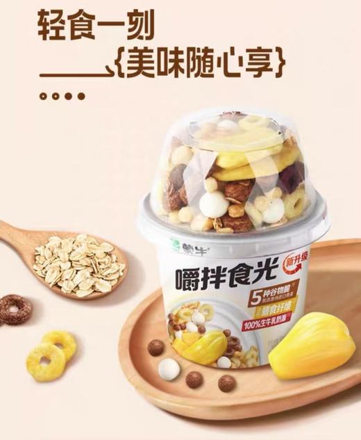 蒙牛嚼拌时光风味酸奶一箱 商品图3