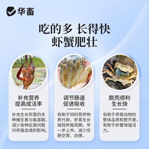 华畜虾蟹促长液鱼虾蟹海参牛蛙诱食开胃水产生长素催长猛长营养液 商品图2