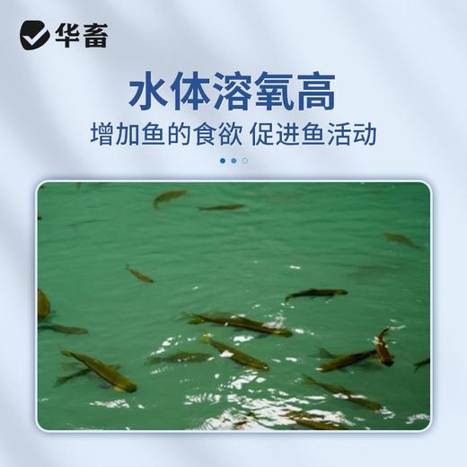 华畜水产增氧片长效水产养殖虾蟹鱼塘增氧颗粒打窝专钓黑坑野钓版 商品图2