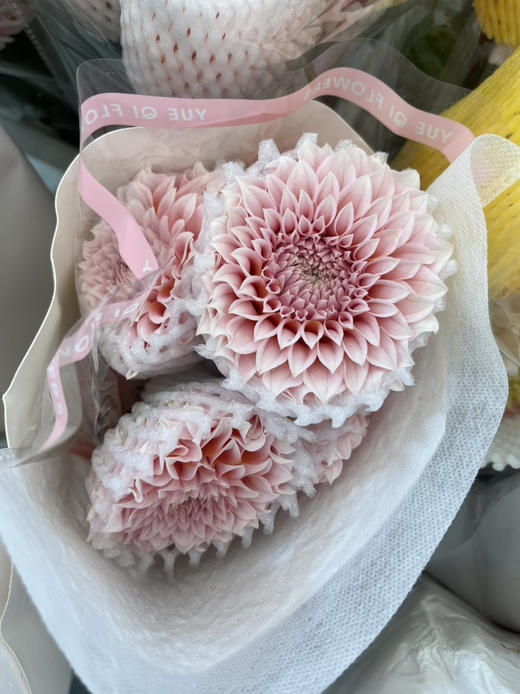 国产大丽花-【粉桃子】月琪 商品图3