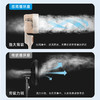 志高循环扇_LS23-C4-1 商品缩略图1