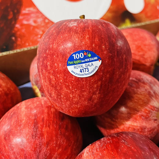 新西兰加力果 脆甜  苹果礼盒  多规格可选 商品图1