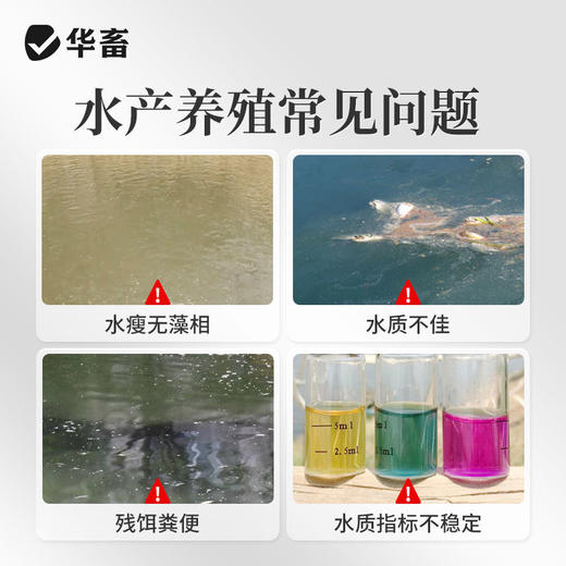 华畜em菌原粉水产专用养殖虾蟹鱼塘活菌发酵调水净水肥水浓缩EM菌 商品图1