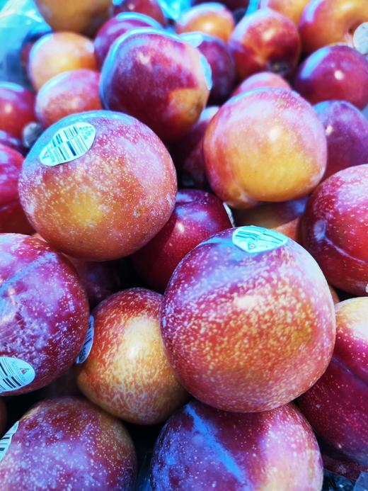 【预售】珠宝李/太阳李 肉质松脆爽口，一口下去汁水丰盈，满满的李子清香。 商品图8