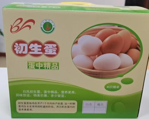 白沙白凤初生蛋45枚 商品图0