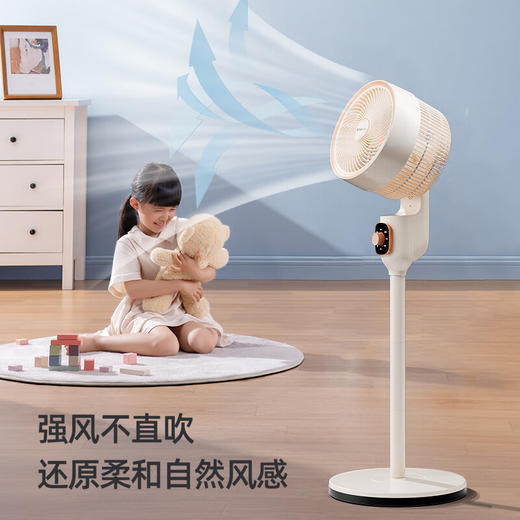 志高循环扇_LS23-C3-1 商品图3