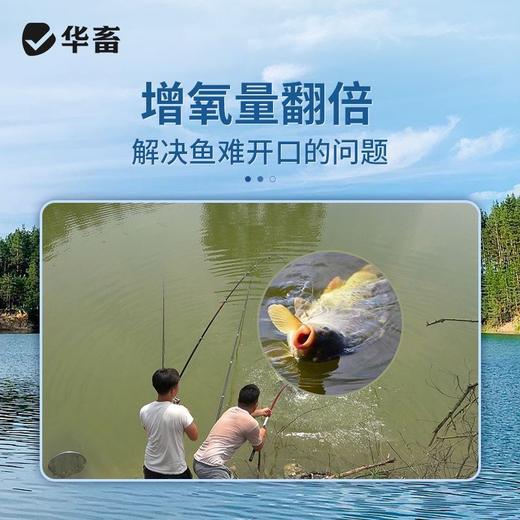 华畜水产增氧片长效水产养殖虾蟹鱼塘增氧颗粒打窝专钓黑坑野钓版 商品图3