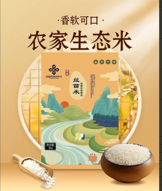 明城丝苗米5kg 商品图0