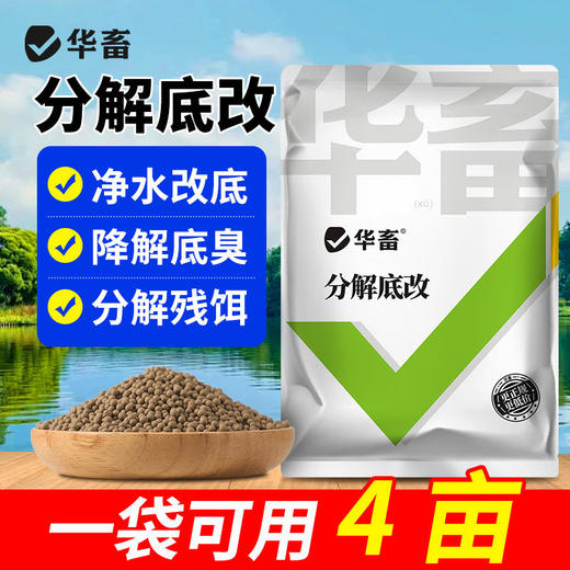 华畜分解底改水产养殖鱼虾蟹塘用调水净水王粪肠球菌生物改底颗粒 商品图1
