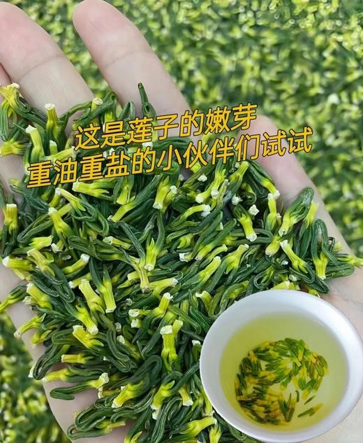 19.8秒杀2袋️莲子心颗颗手剥40斤莲子只能产出1斤的莲子心独立茶包冲泡方便基地直邮 商品图1