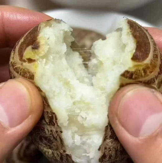 三胖红芽芋 商品图1