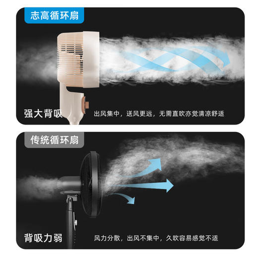 志高循环扇_LS23-C3-1 商品图1