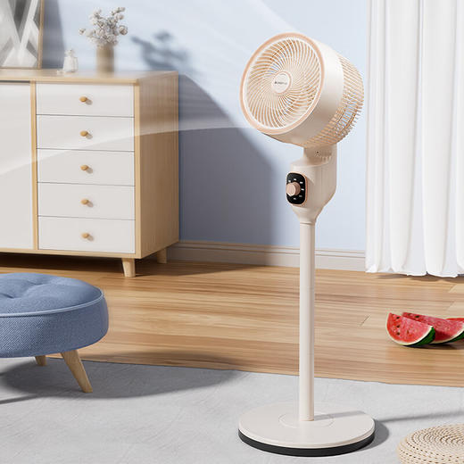 志高循环扇_LS23-C3-1 商品图0